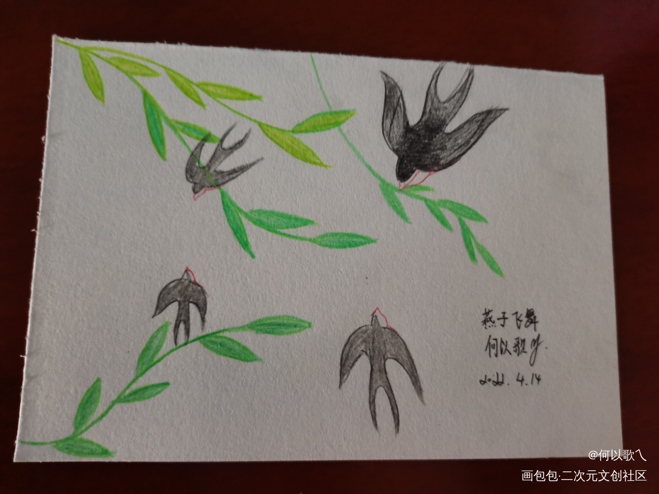 day8燕子
