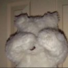 jun7