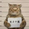 金桔