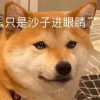 头像是本人