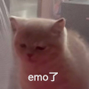 2980886