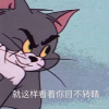3538955