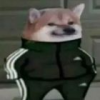 3523682