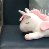 礼绝