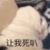 5225935
