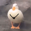 言以之