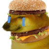 5758264