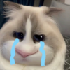 5874187