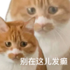 四夕锦鲤
