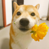 1371760
