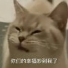 想吃关东煮