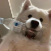 和年年年