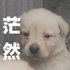杏榆