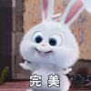 chachagun