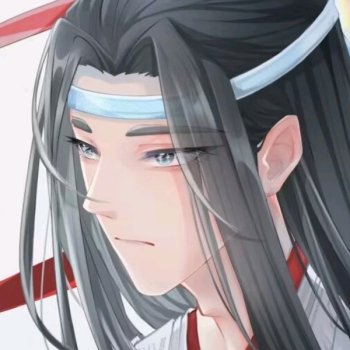 蓝忘机·魔道祖师