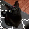 冰糖糊涂̀^́