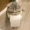三柱青烟