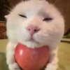 乌喻辣