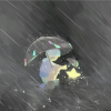 酒精0812