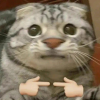 雨彐