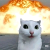 我是招财猫