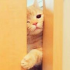 sara_mAo