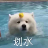 388727