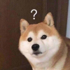 537685