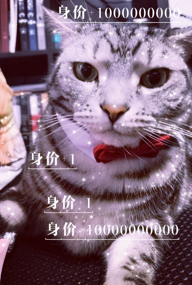 试试_D桑diamond游乐园D桑diamond绘画作品