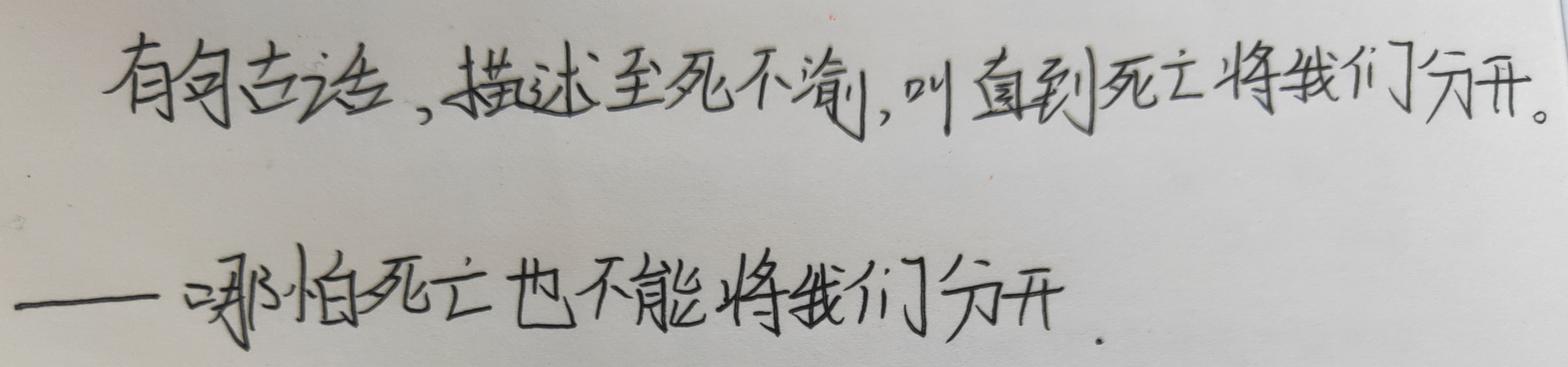_穿成万人迷的炮灰竹马绘画作品
