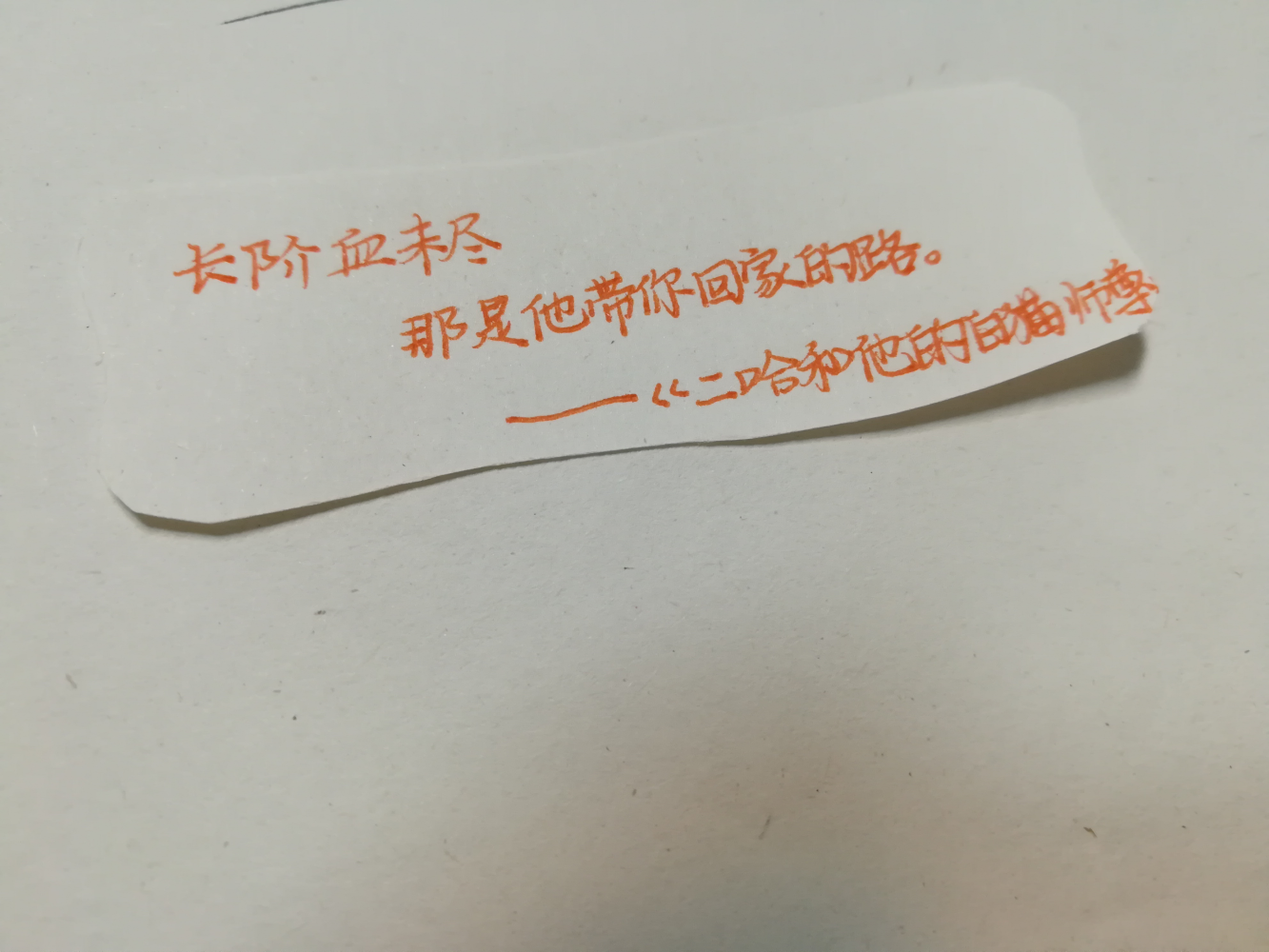 _二哈和他的白猫师尊绘画作品