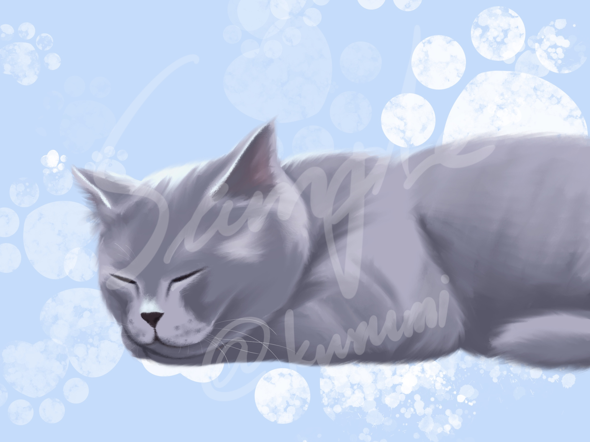 英短蓝猫_插画客单展示猫约稿绘画作品