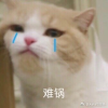 今朝有俞生⛵