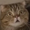 157844