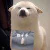 2746561