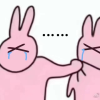 2939623