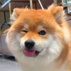 989682