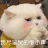 2948355