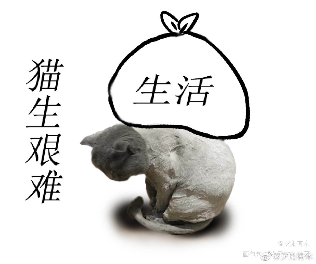 猫猫第二弹！_求点评表情包临摹绘画作品