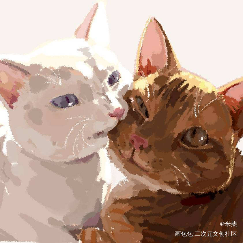 两只猫_平涂真实猫原创绘画作品