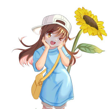 向阳花_工作细胞血小板日系q版绘画作品