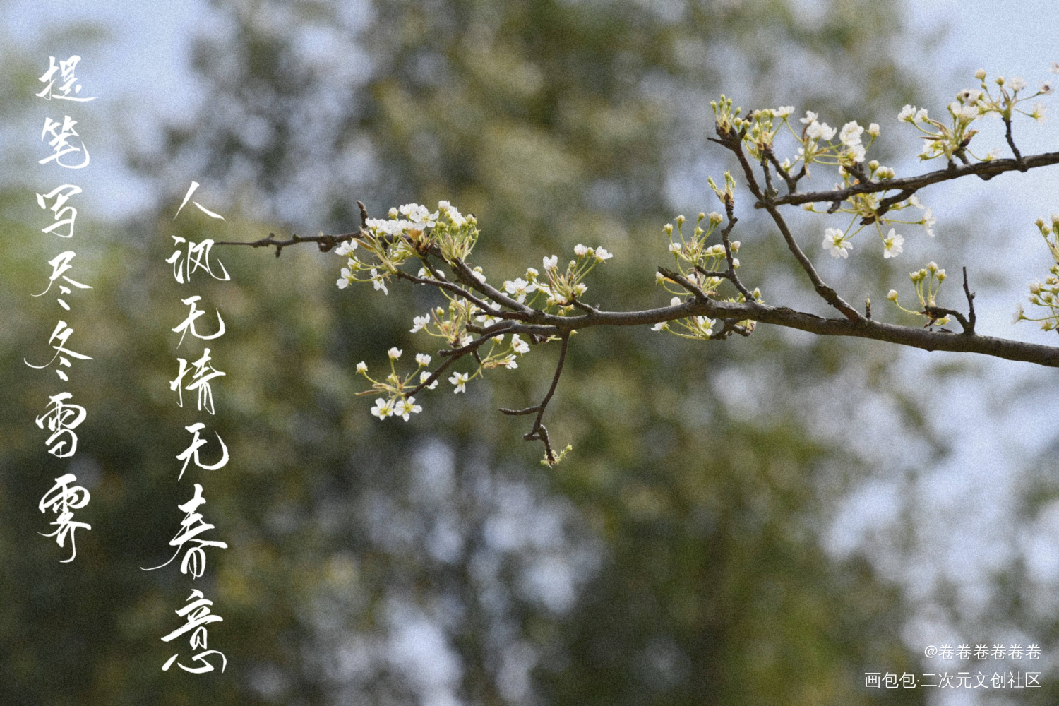花_无我要上首推字体设计手写手写绘画作品