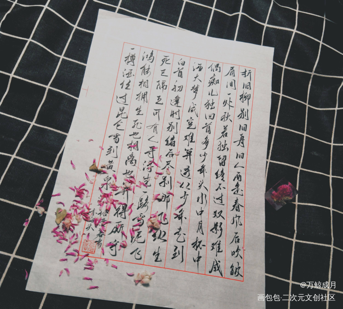 恰逢暮雪亦白头_见字如晤手写绘画作品