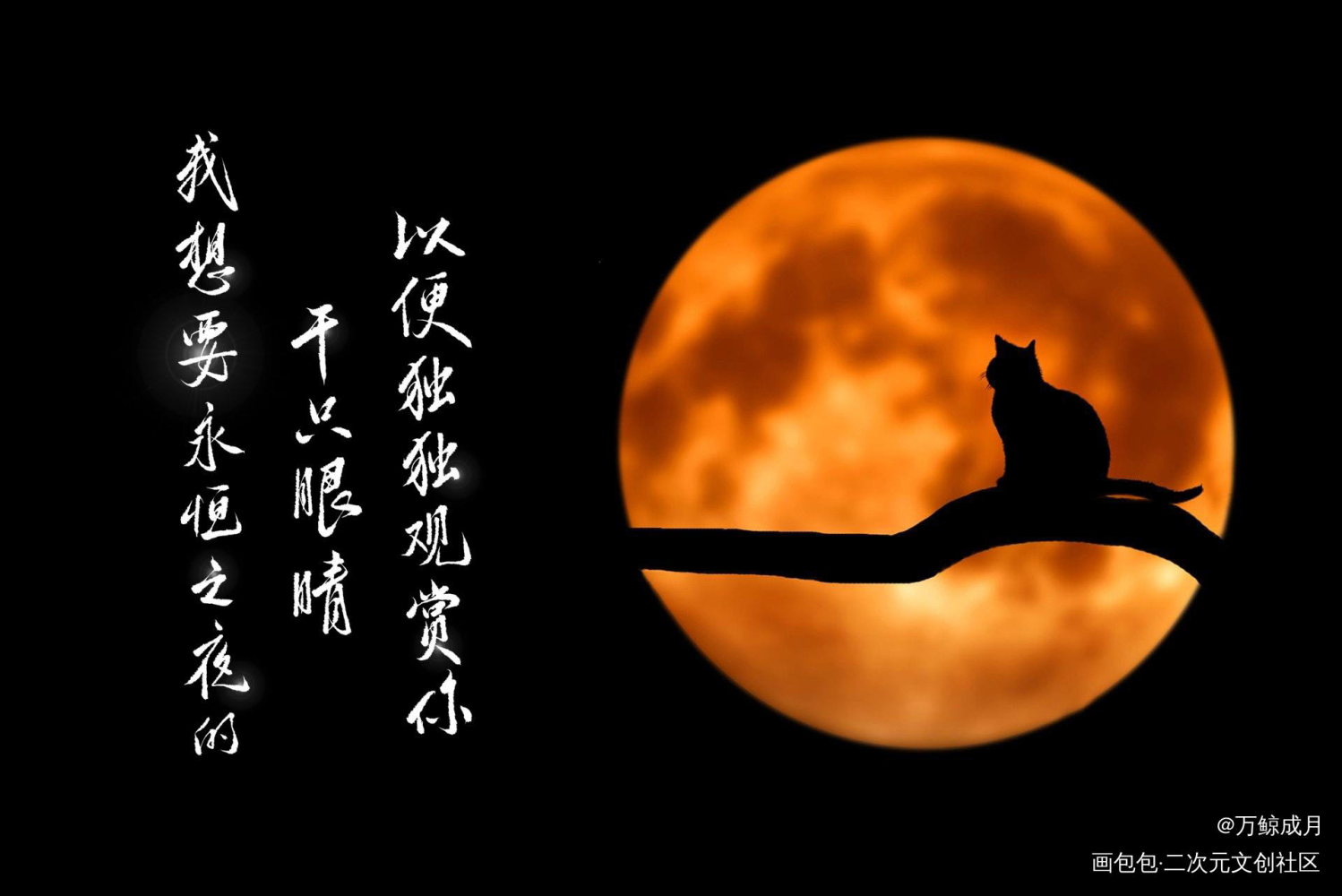 猫咪的玫瑰_猫咪的玫瑰一十四洲绘画作品