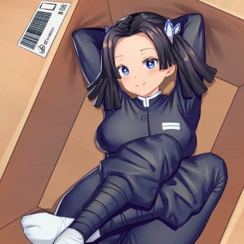 神崎葵_鬼灭之刃神崎葵箱中少女我要上首推头像插画绘画作品