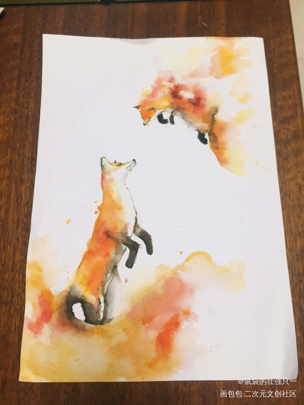水彩临摹狐狸 H Jerelyn的绘画作品 画包包