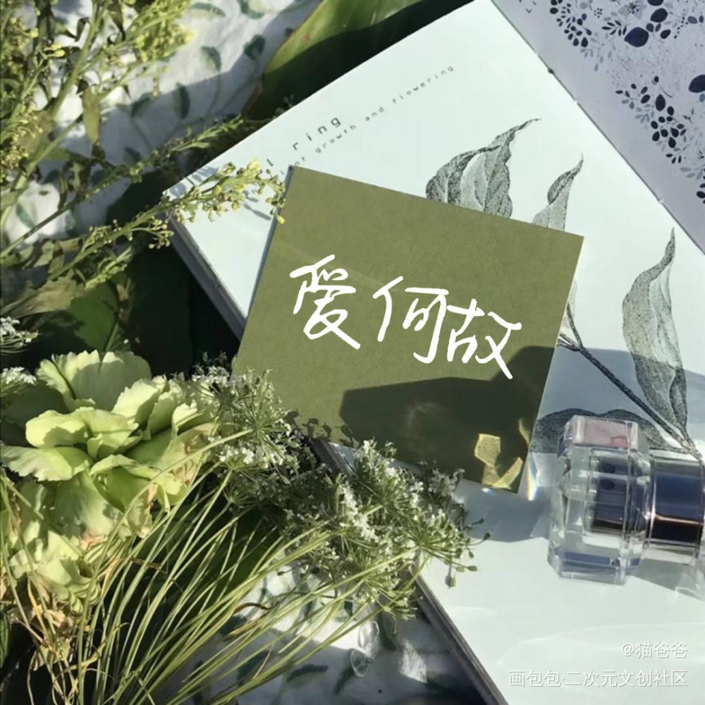 爱何故_……绘画作品