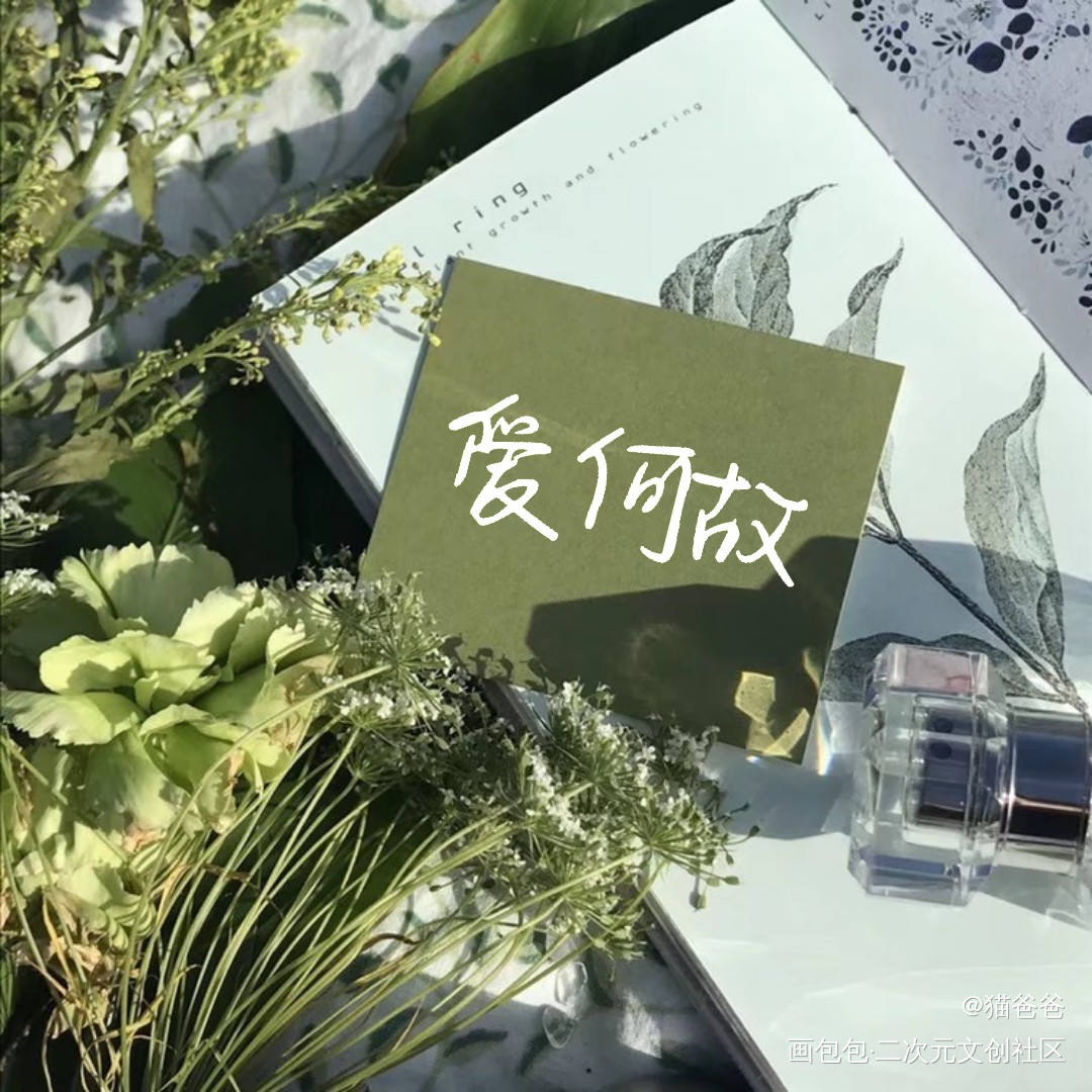 爱何故_……绘画作品