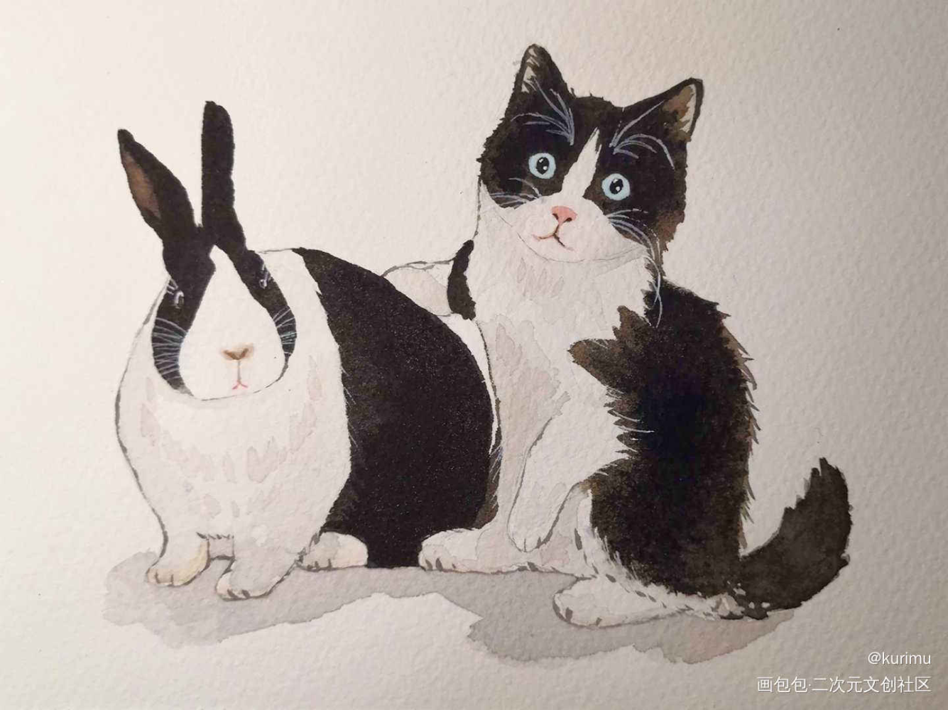 水彩 猫&兔_兔水彩水彩求点评猫原创绘画作品