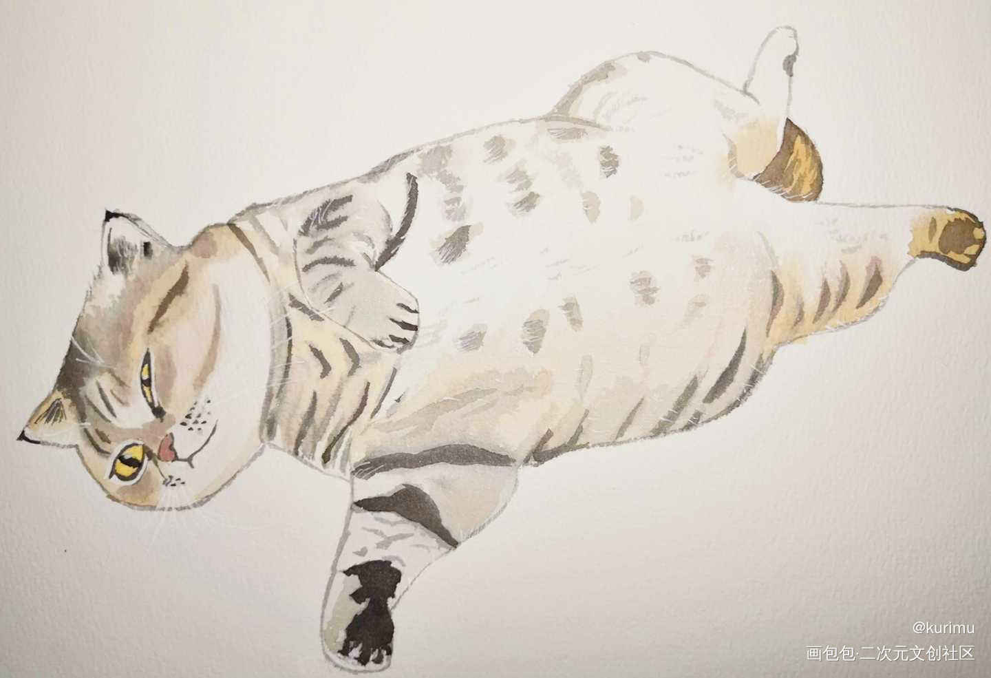 水彩 肥猫_水彩水彩求点评我要上首推插画猫原创绘画作品